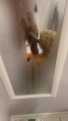 Fresh head out the shower