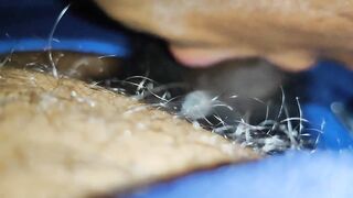 Ebony Homemade: Mouth work #2