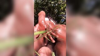 Ebony: golden hour in the woods #2