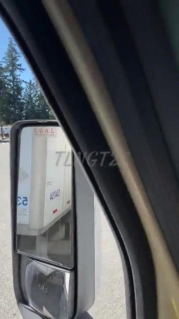 Not a care in the world